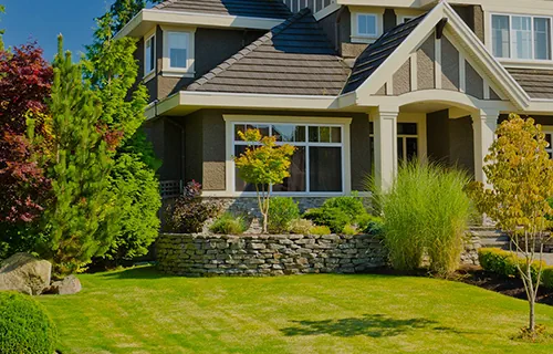 We Turn Your Vision into Reality 