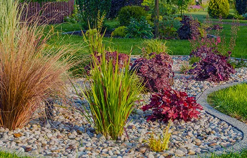 We Are the Preferred Choice in the City