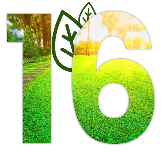 16 Years of Experience