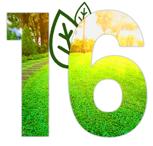 16 Years of Experience